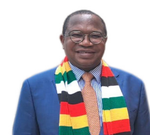 Cde Prof Mthuli Ncube